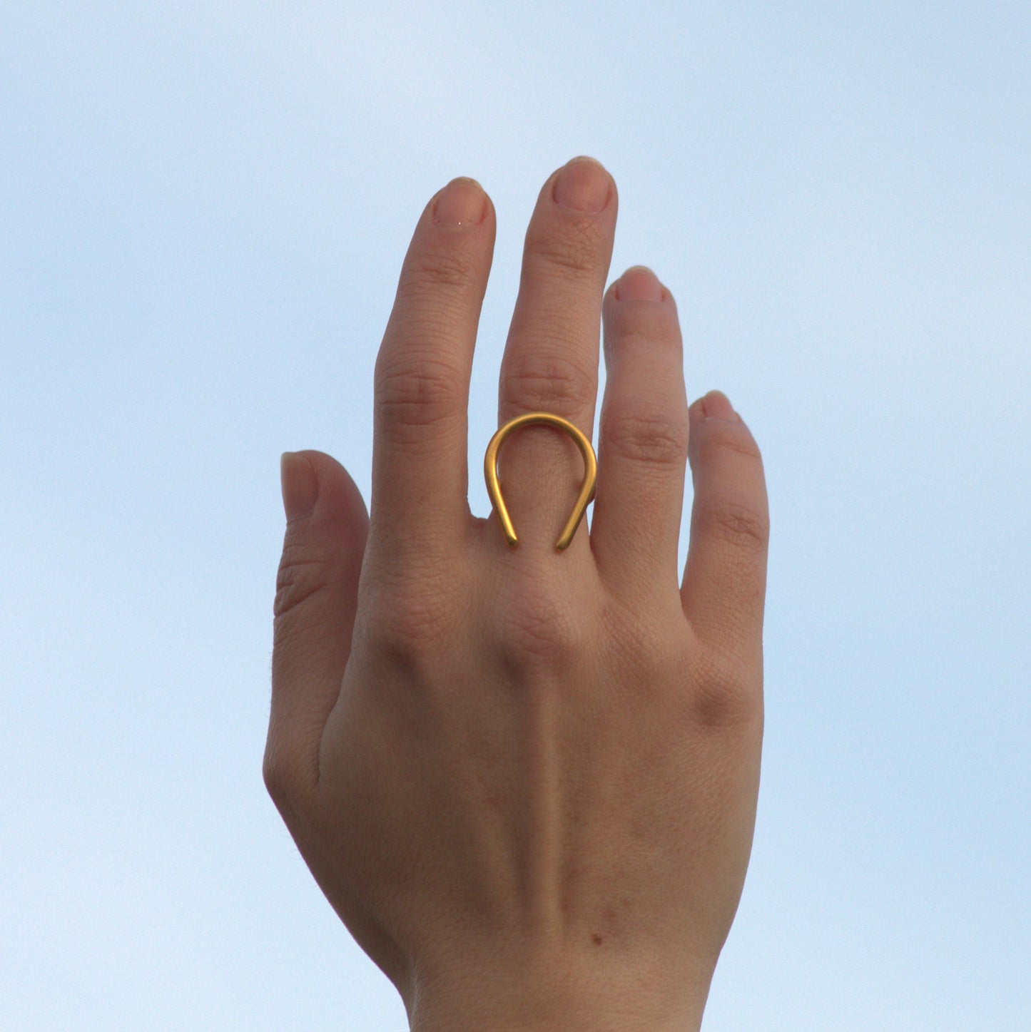 GOLD MAGNET PANDORA RING